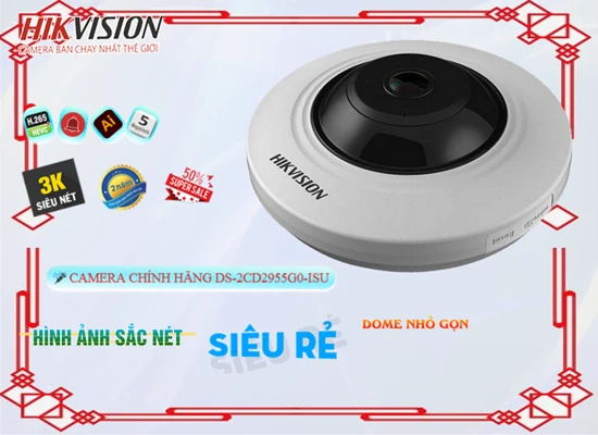 Lắp đặt camera tân phú Camera  Hikvision Tiết Kiệm DS-2CD2955G0-ISU