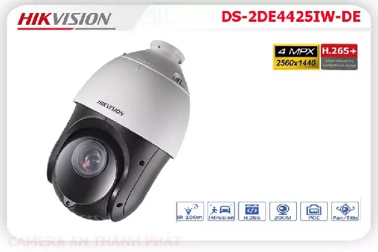 Lắp đặt camera tân phú Camera IP HIKVISION DS 2DE4425IW DE