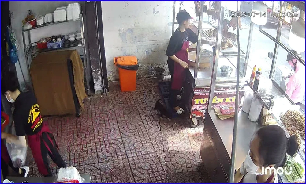 Lắp Camera Cửa Hàng Giá Rẻ